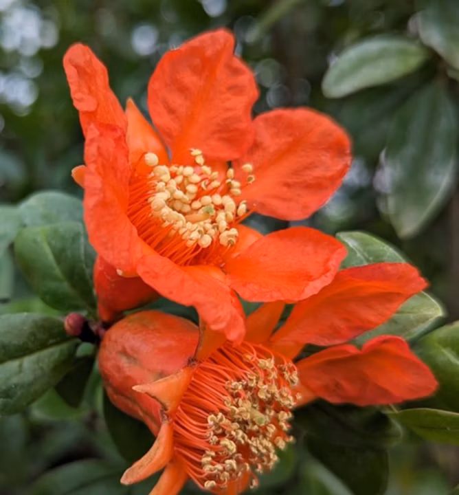 801f7fb2caa18d522a6cb419b5918112