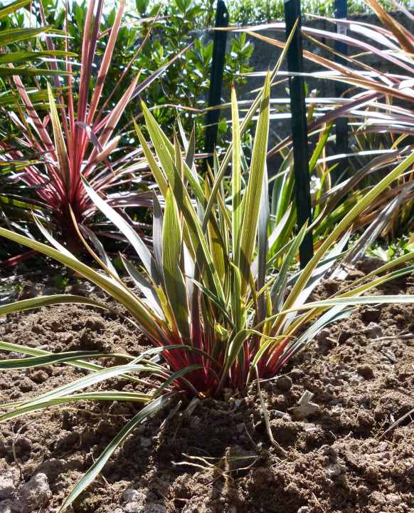 8034aa386e5fb68a78d5b9a5bdcb4221