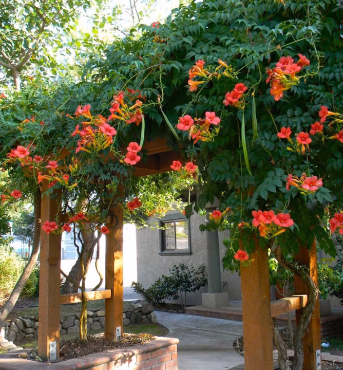 80a80715950c48309183962ede73de89