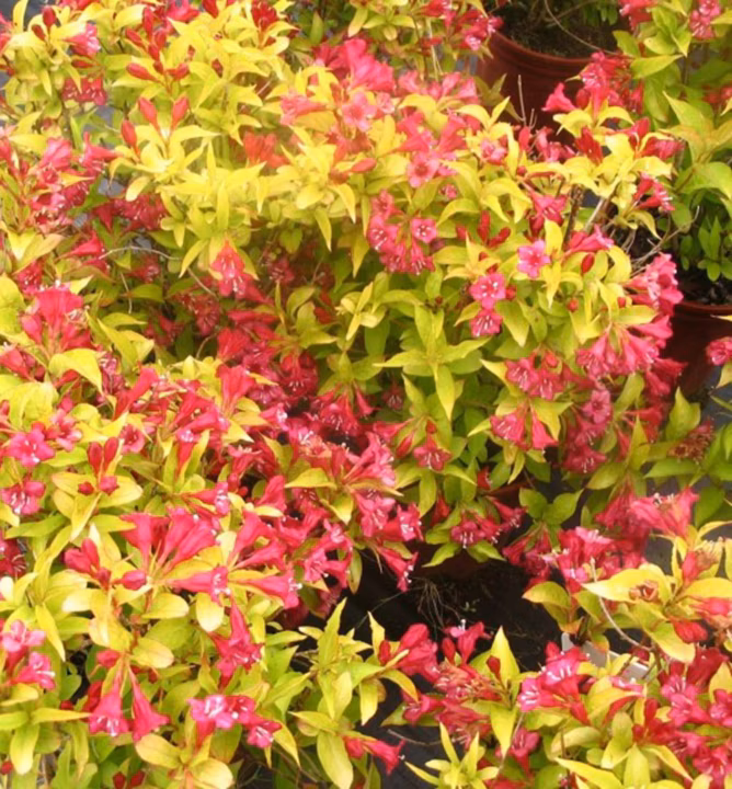 80dbeefee67f967032e10f3f00c2f008