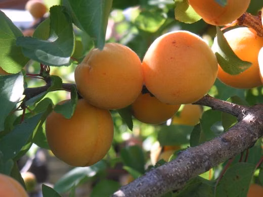 80dc602599a06aac5d395889a48faf33