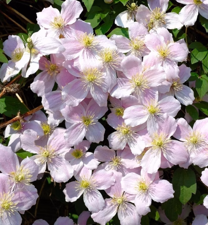 810e7b58aa636f6d61eeaed1fac1e6b3