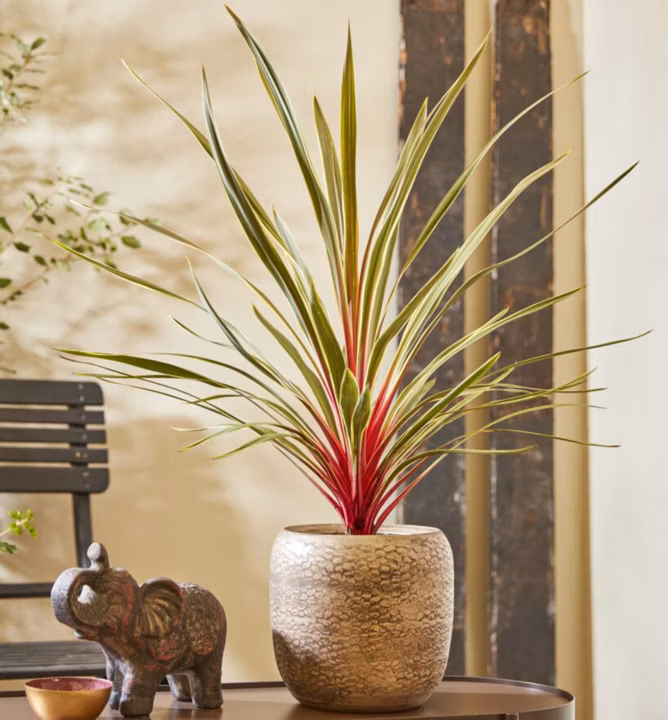 8121f89e8ce77d240f682cbafcc7bbd7