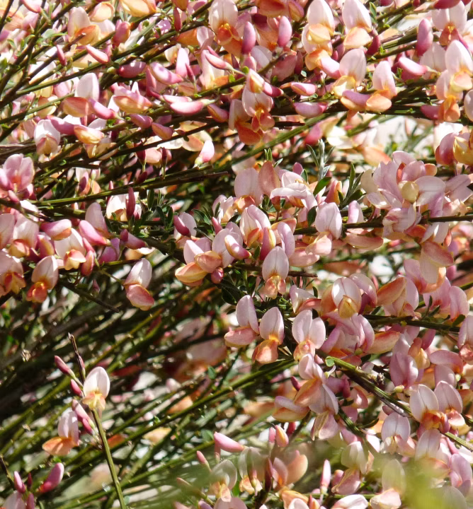 813c3cf0e60b1c54943ae1cc6f843716