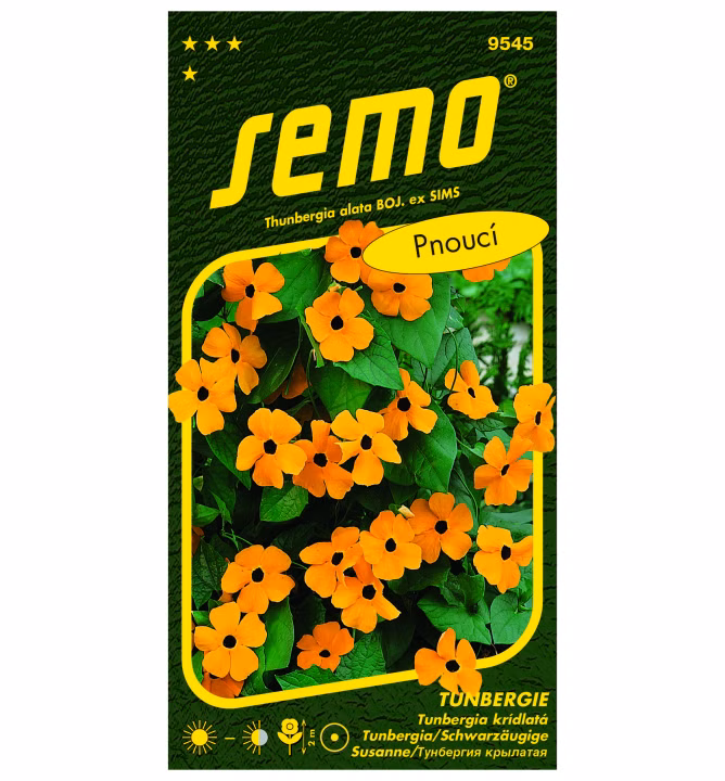 81b76b2b03bb4ed76b30bebb4de02fbc