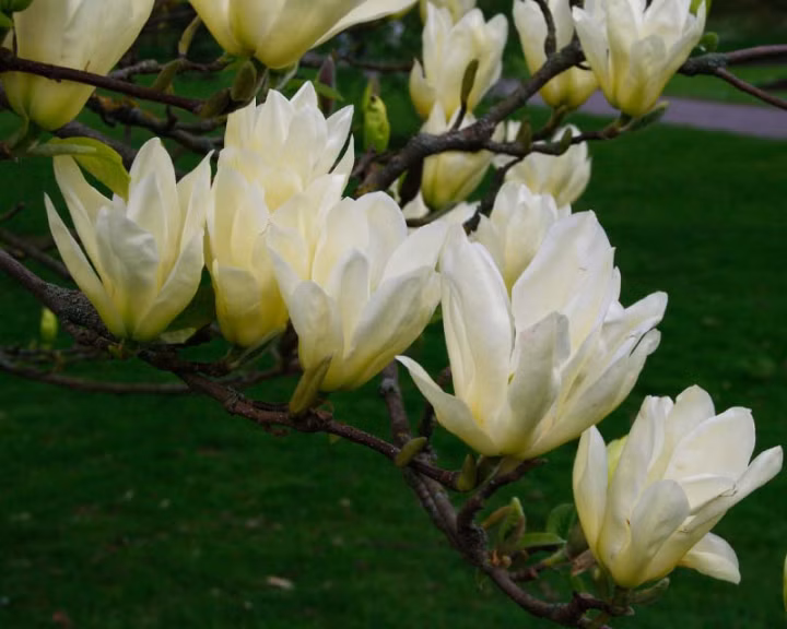 81cc4f117b5819f8f2cdb1b382ffc08c