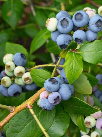 81d6788ad11d5197b79f1c92e6051ef3