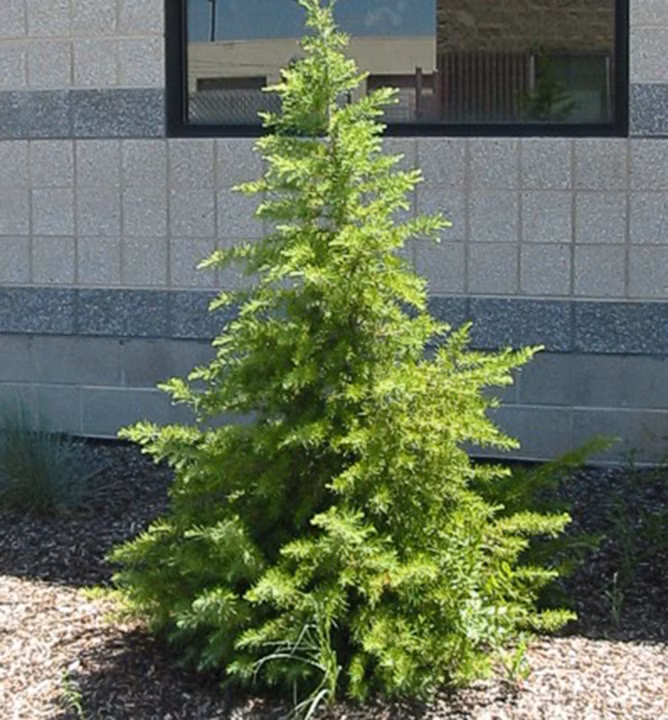 81f39af050f6262fa2c4514579a10054