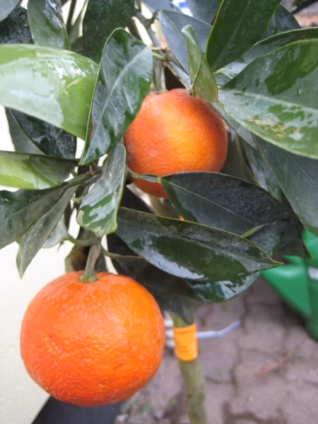 82058ebbec97eab522968f7782b79238