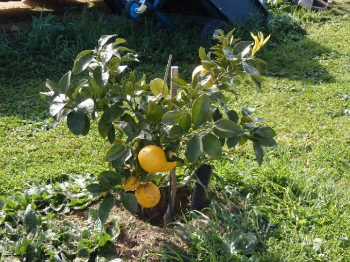 8219a5d9baf99e0ae580e3b7348cdda7