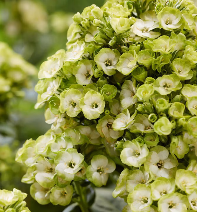 823489c2e6c313df149b0345bca52ebe