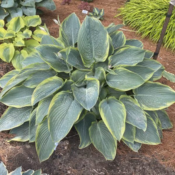 824307d85f7017edb4570280affb73fb