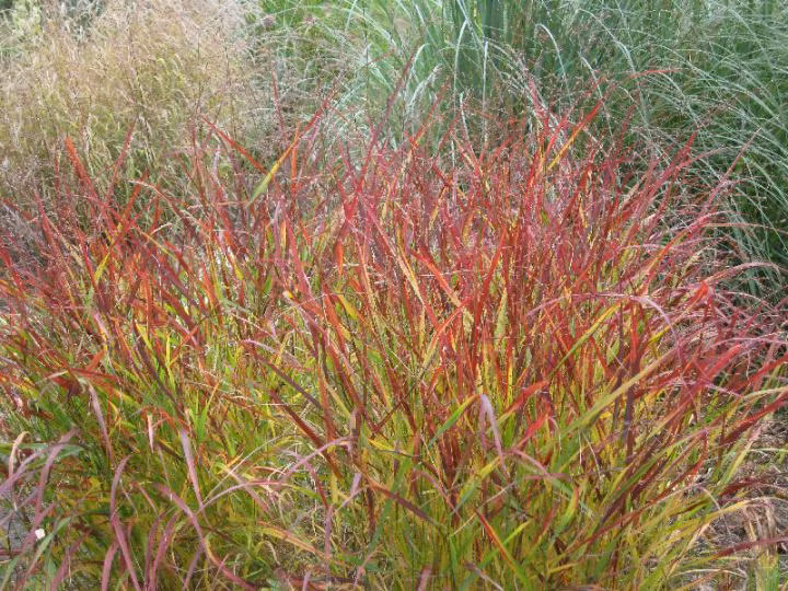 826dce0b1ff7c3ed427e16d1491885b3