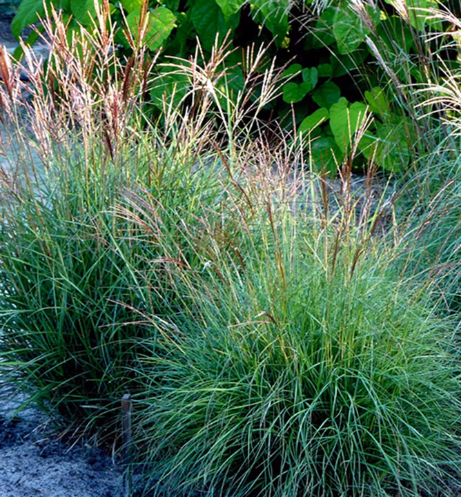 8280ef4c50d32765d0e7356cdd770a5f