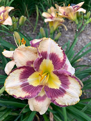 8288361ba3820d7f409d7f7d81ddc42a