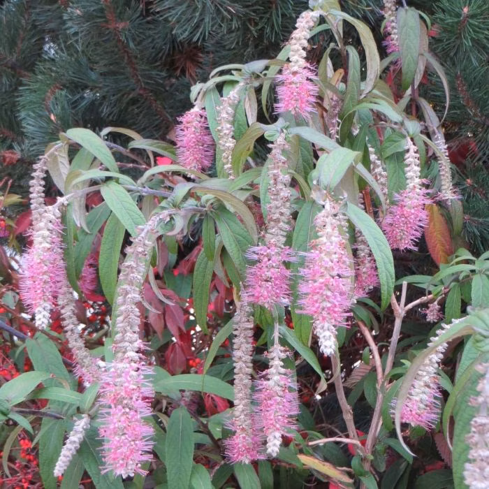 82fd18dc2aa0649dc6de0e3a8bcee299