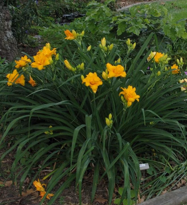 82fe44478df94c74cc1f14a10cb7d69e