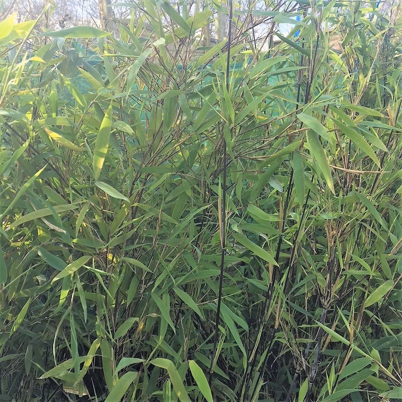 82ff9ba52a0f7b72626bfb89f3e75716