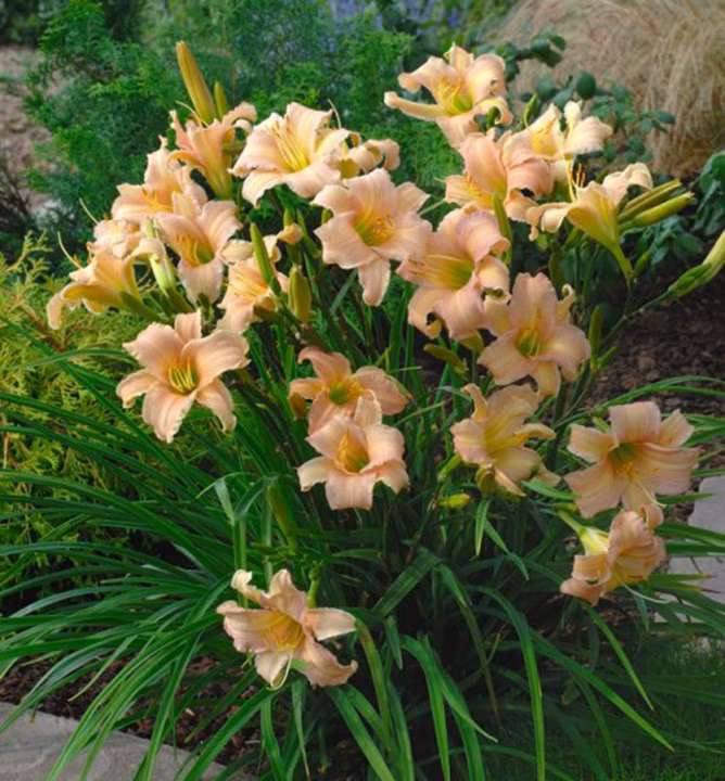 831df0ac9b79e149c5c9d19050cabca3