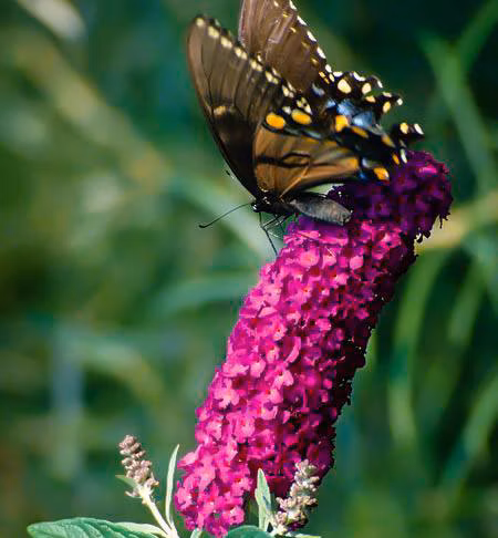 833c1fc53a92d0c4d58c12158a760772