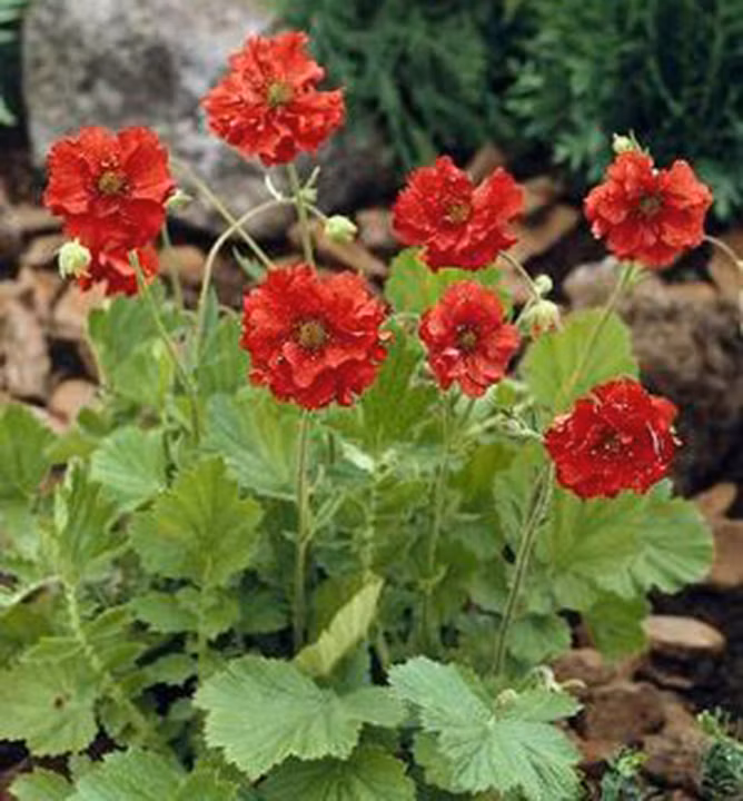 8341a84cdb6ff938205c2691f261c627