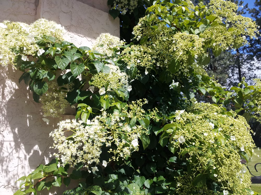 83442d7883de33e3459df85355c2f5f5