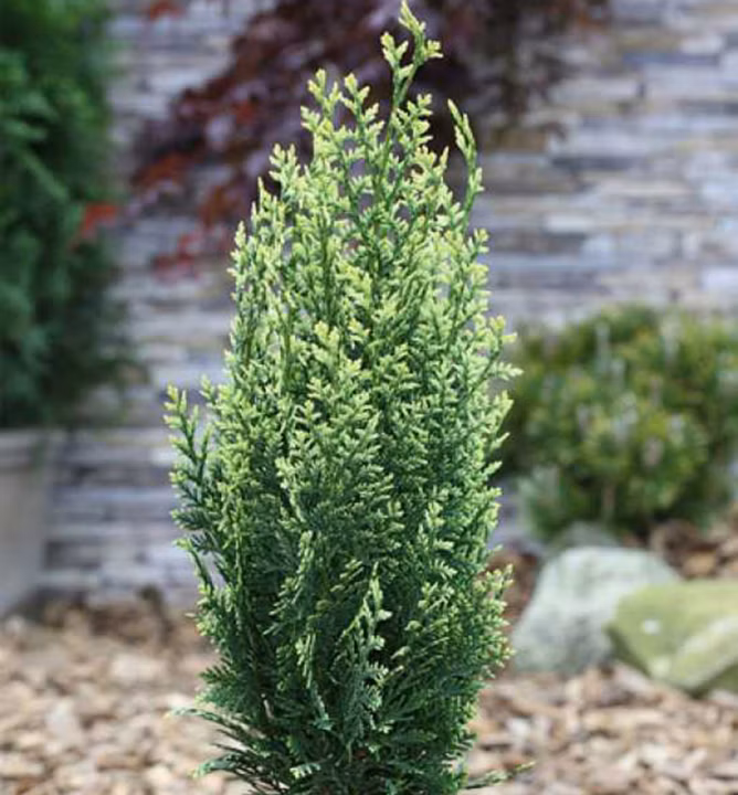 834ef23616b627b6526d3a200443cf45