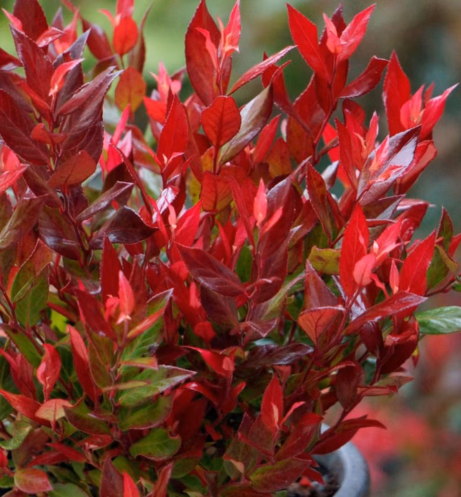 8380b6f758f29d78f628ec4222ab94dc