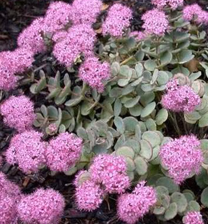 844cae07ccd158345fd85315a5c691b1