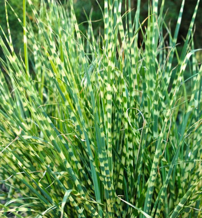 846d9db62896b998b99eb6c57ba6d842