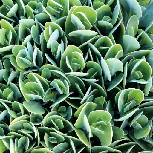 8484674b105f6587cb458a9117a4b644