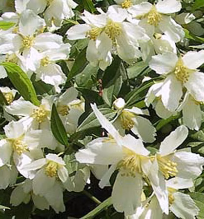 84952791137366850d563c0d83516ae3