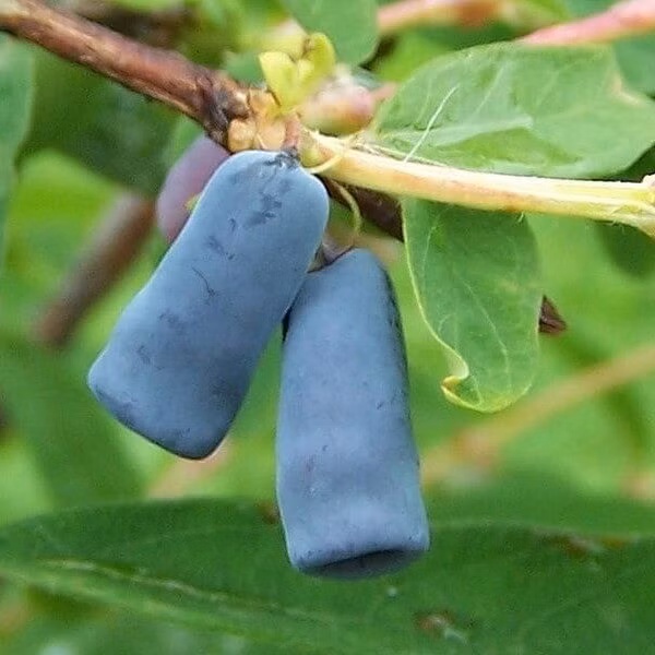 84b547dbac4935aac8d266a52a775773