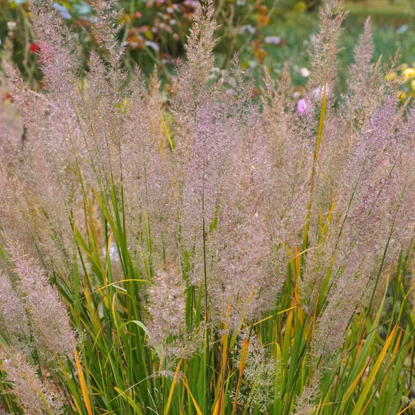 84cf56554f02a297c6aab02bf0dd6385