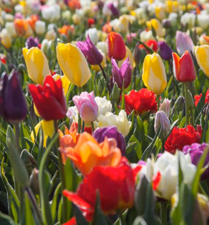 84fdb70bd14859ec48b3f5e23460d47e