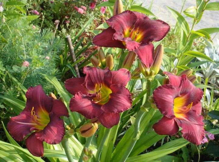 8500a5edc580e9f063cd4f6f9ff17c16