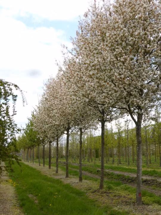 852fac2f2d1f1073979d50a236f043f7