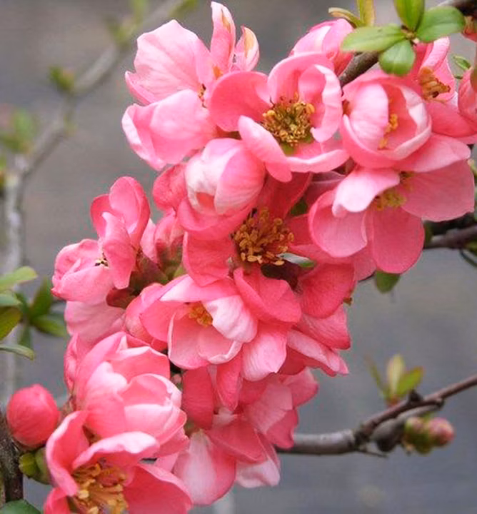 85890012134d163a040abbaa66cda199