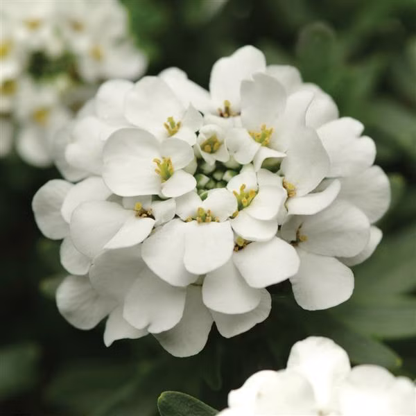 85ac42b8f8de24f7a69875a28359ac92