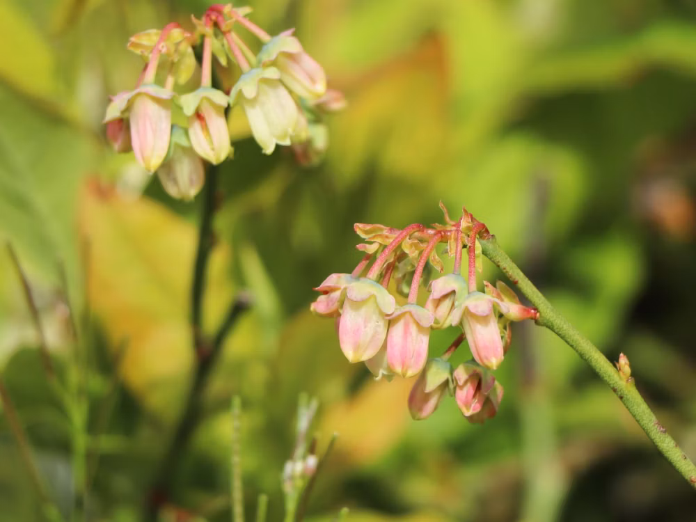 85de9c2eb5aea731669956002ef17c44