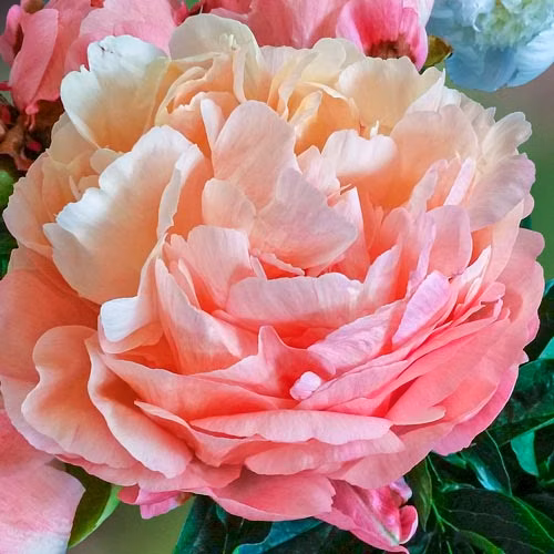 85fdb6fb837bdc0b859c769a485bf3d2