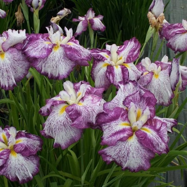 8600c1afa29734d720d8da179cb8e245