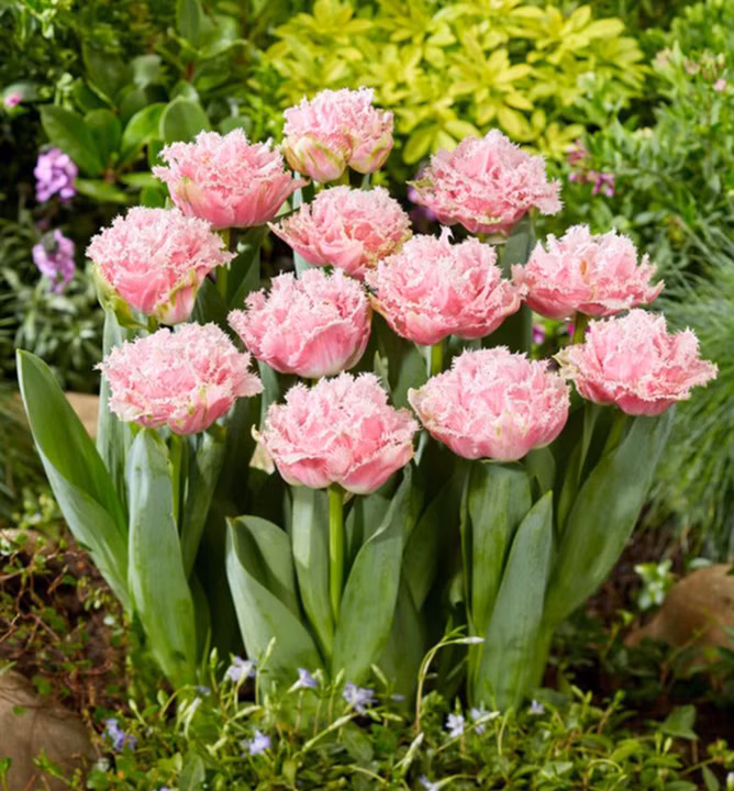 8635652bb1773a6b20d23da0b7c4a6cb