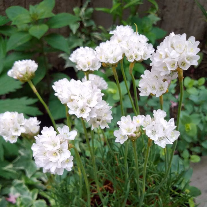 863c5659d66998140222ef58417fb503