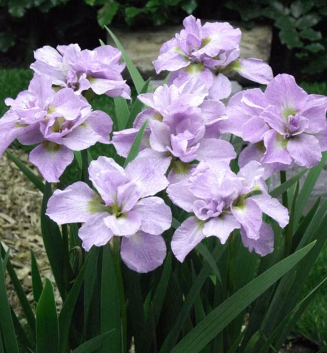 86421f00e9e34907c3bdb96ea6b62c3c