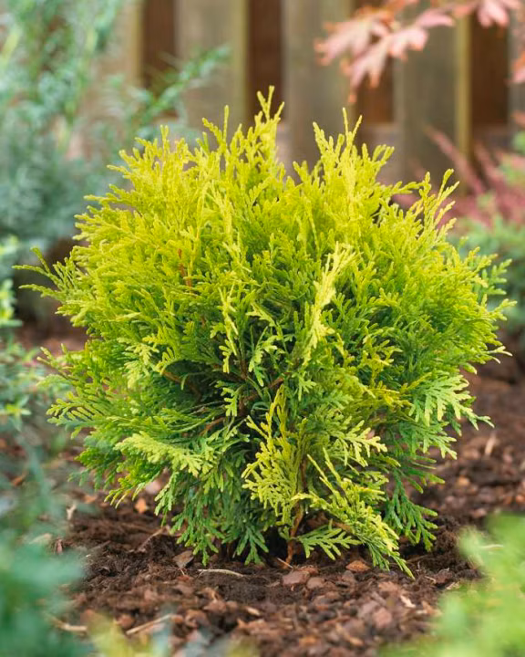 864740a75154ec4f3a9e0b5f7a33e67e