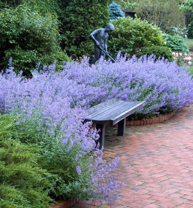 868c35a232eb4898bbe10eee22f9277d