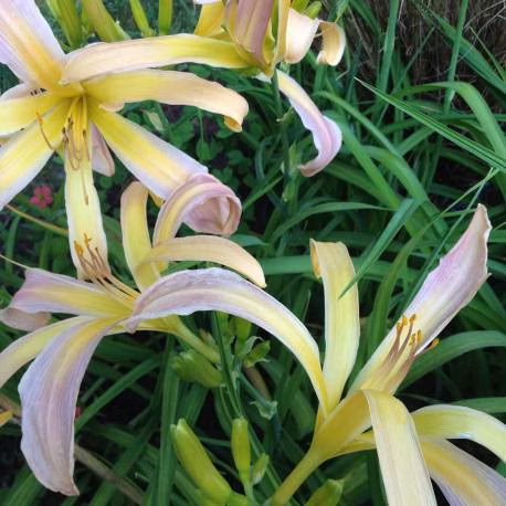 869c0c7075328d4677d10f6772a9029b