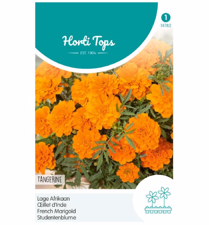 871a3e63951f574ee2fe293bc64ea577