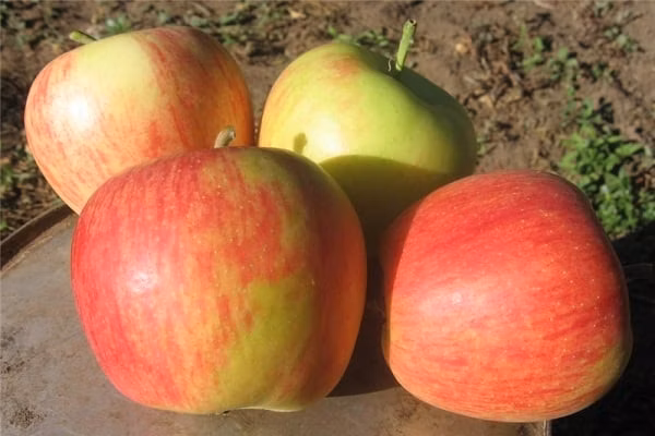 8720971e06377075307dd0bd3f2254e8